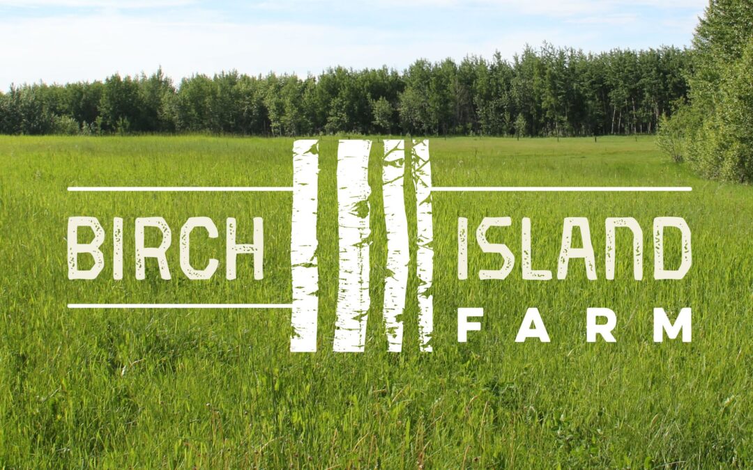 Birch Island Farm