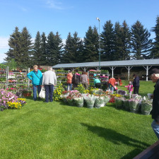 Rimbey1