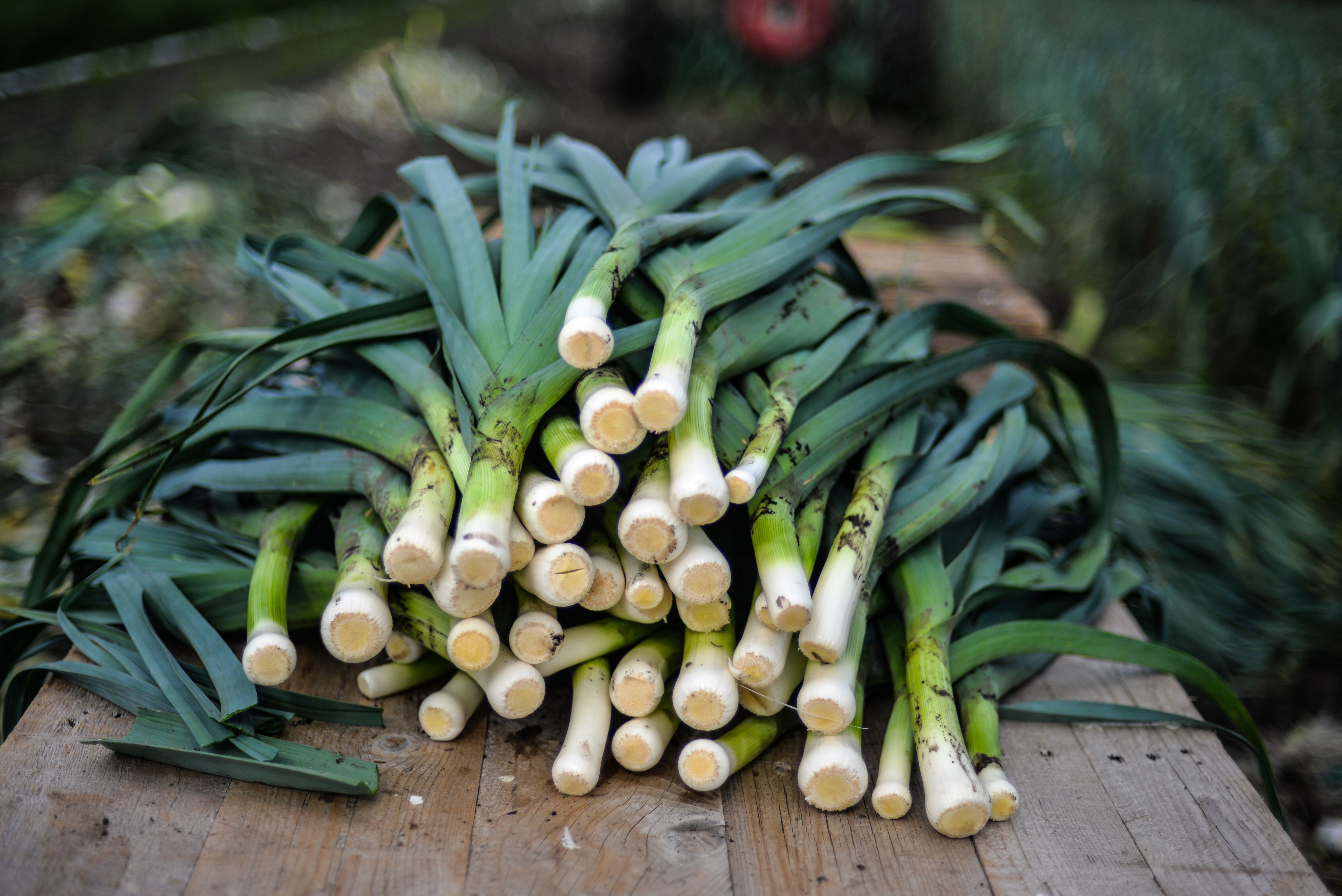 Welcome to Alberta Local Food Week!